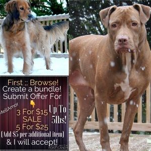 🎄5/$25 Holiday Sale🎁